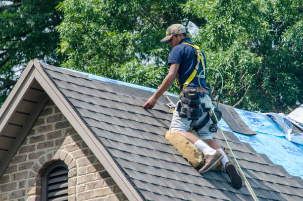 Roof Gutter Cleaning in Conneaut, OH